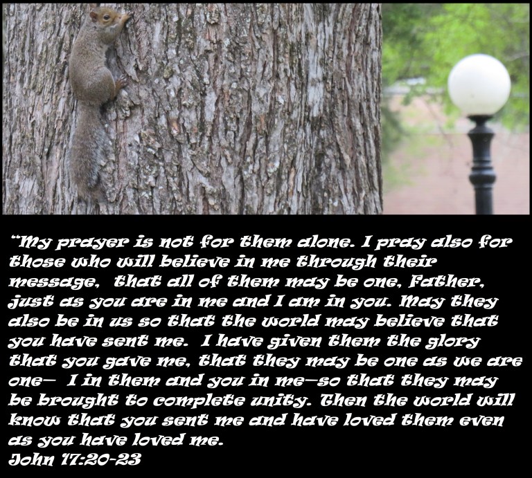 © Photo Artist Susan Ruth Robertson 090025006100 SX540HS 021 - Copy.JPG