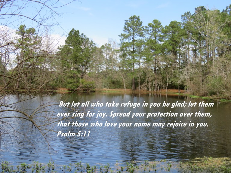 © Photo Artist Susan Ruth Robertson 090025006100 SX540HS 048 - Copy.JPG