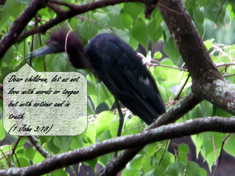 © Photo Artist Susan Ruth Robertson 0925006100 020 - Copy.JPG