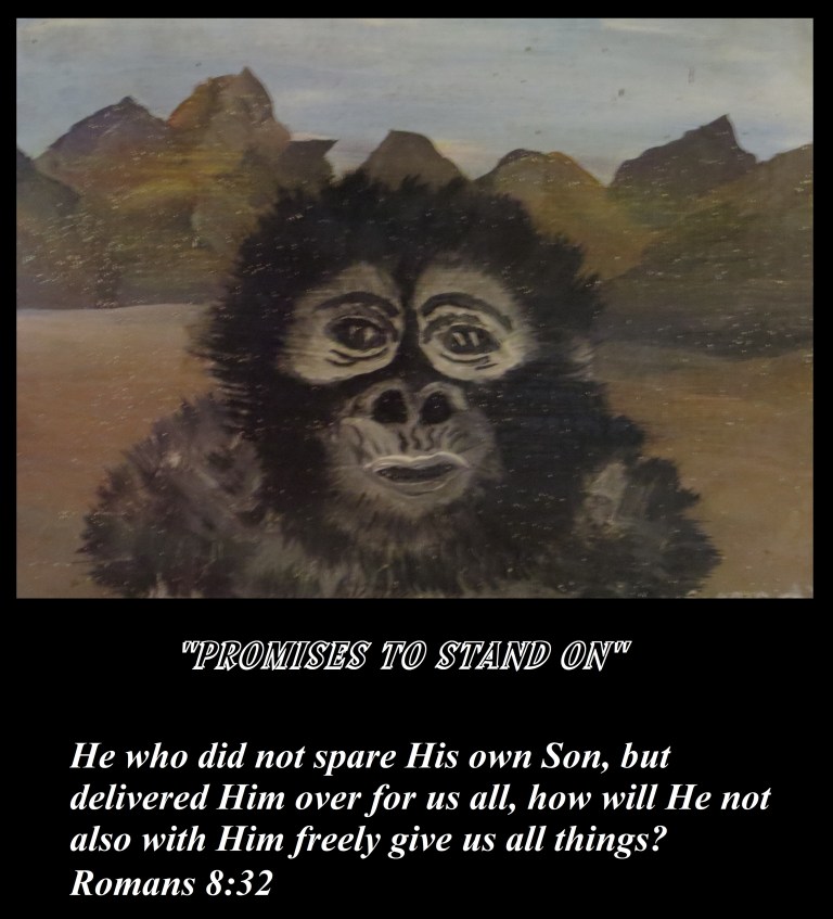 Artist Susan Robertson 2 035 - Copy.JPG