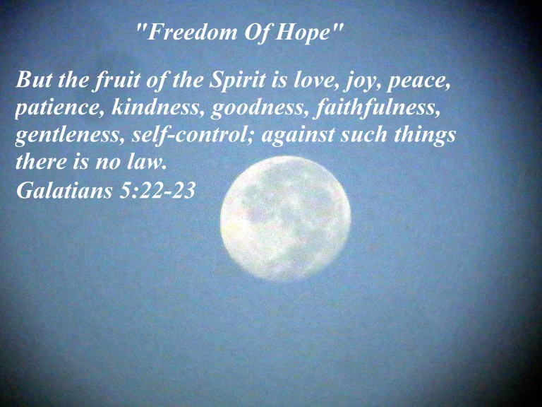 © Photo Artist Susan Ruth Robertson 090025006100 011.JPG