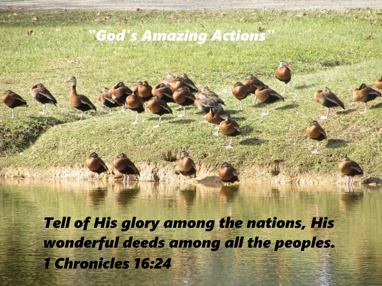 © Photo Artist Susan Ruth Robertson 090025006100 033.JPG