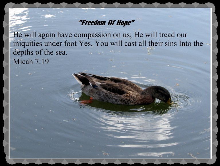 © Photo Artist Susan Ruth Robertson 090025006100 034.JPG