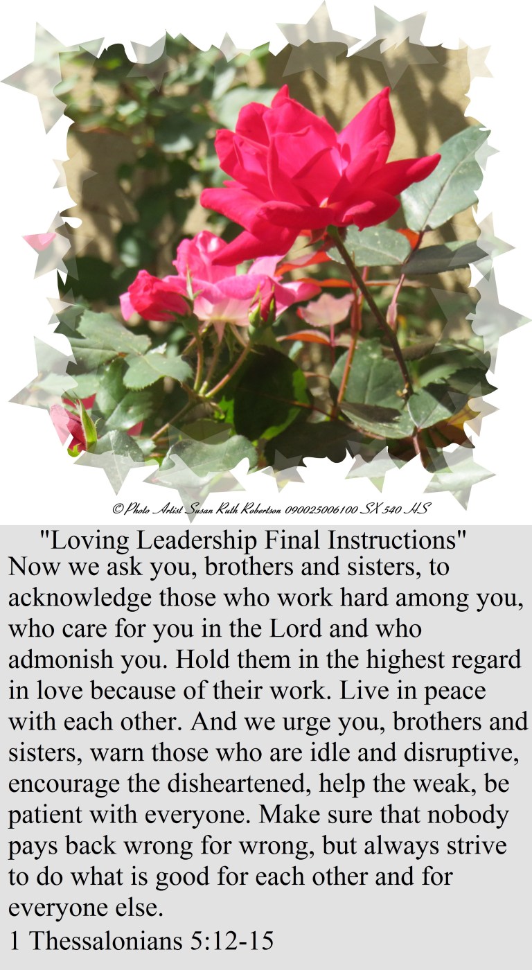 © Photo Artist Susan Ruth Robertson 090025006100 SX 540 HS 002.JPG