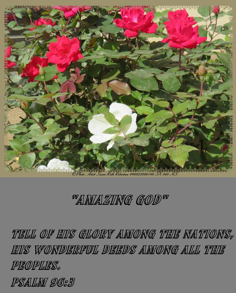 © Photo Artist Susan Ruth Robertson 090025006100 SX 540 HS 004 - Copy (2).JPG