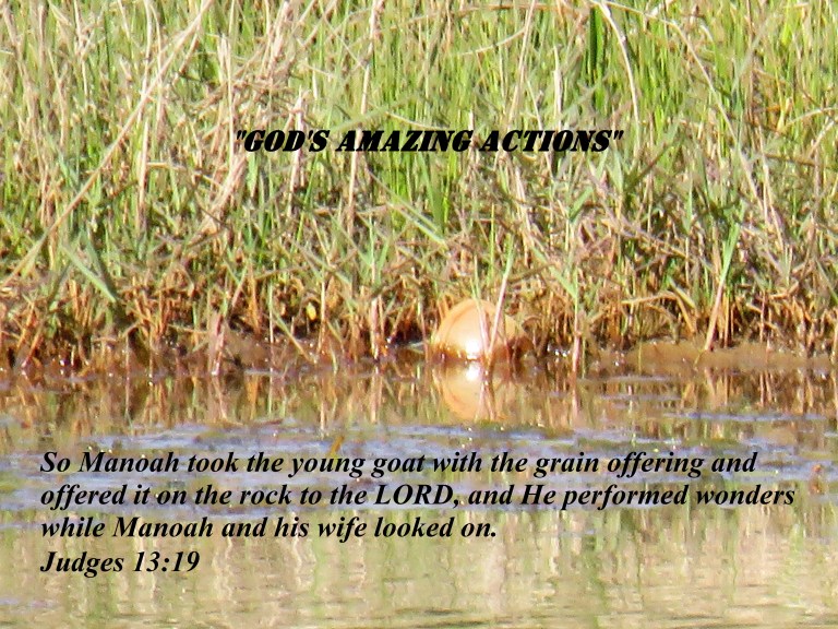 © Photo Artist Susan Ruth Robertson 090025006100 SX 540 HS 017.JPG