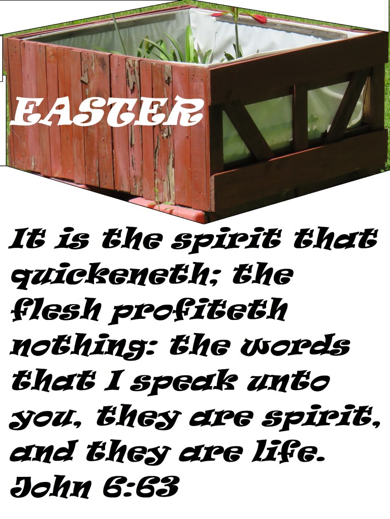 © Photo Artist Susan Ruth Robertson 090025006100 SX540HS 092 - Copy.JPG