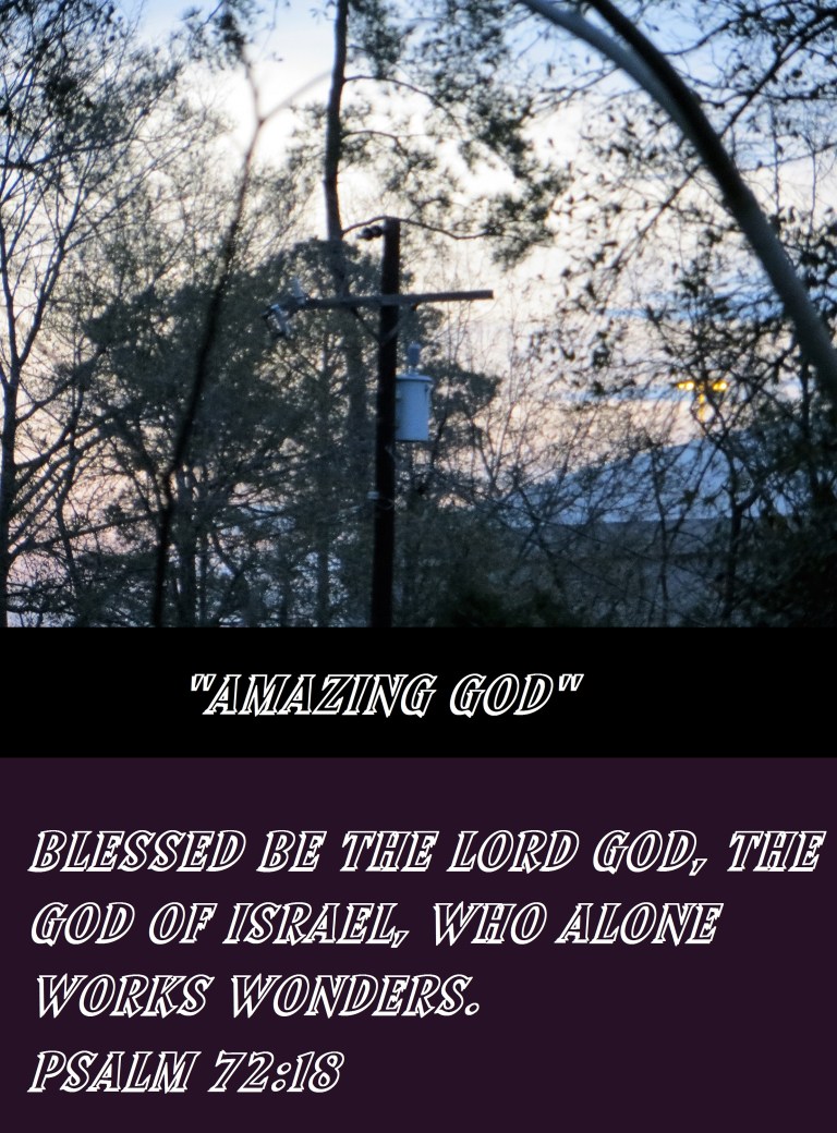 Photo Artist Susan R. Robertson (19).JPG