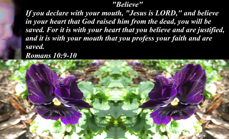 © Photo Artist Susan Ruth Robertson 090025006100 001.JPG