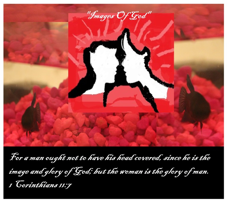 © Photo Artist Susan Ruth Robertson 090025006100 005.JPG