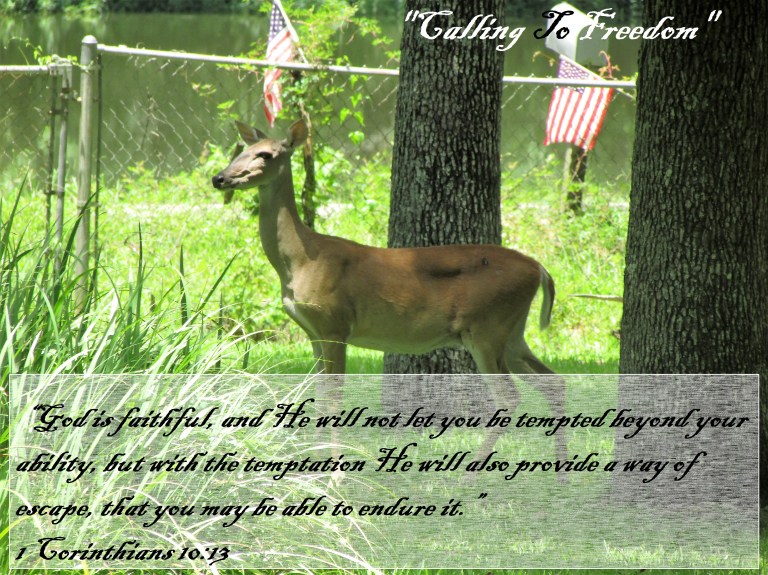 © Photo Artist Susan Ruth Robertson 090025006100 014.JPG