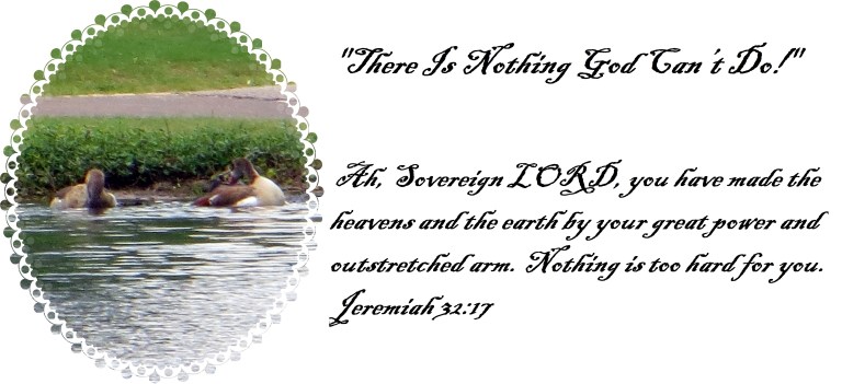 © Photo Artist Susan Ruth Robertson 090025006100 018 - Copy.JPG