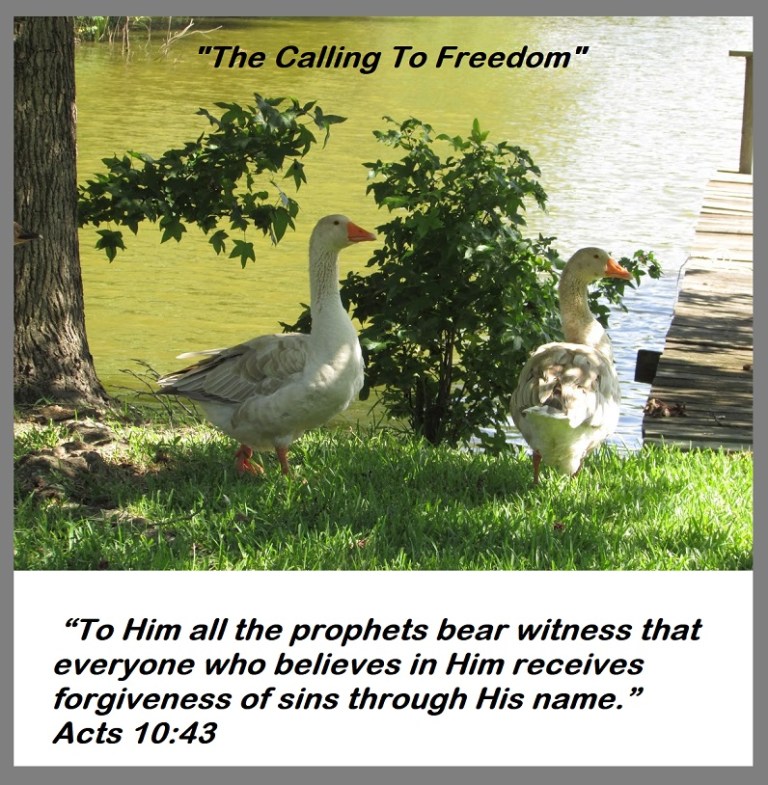 © Photo Artist Susan Ruth Robertson 090025006100 114 - Copy.JPG