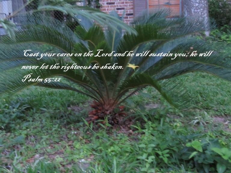 © Photo Artist Susan Ruth Robertson 090025006100 SX540HS 029 - Copy.JPG