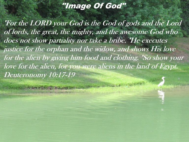 © Photo Artist Susan Ruth Robertson 090025006100 SX540HS 032 - Copy.JPG