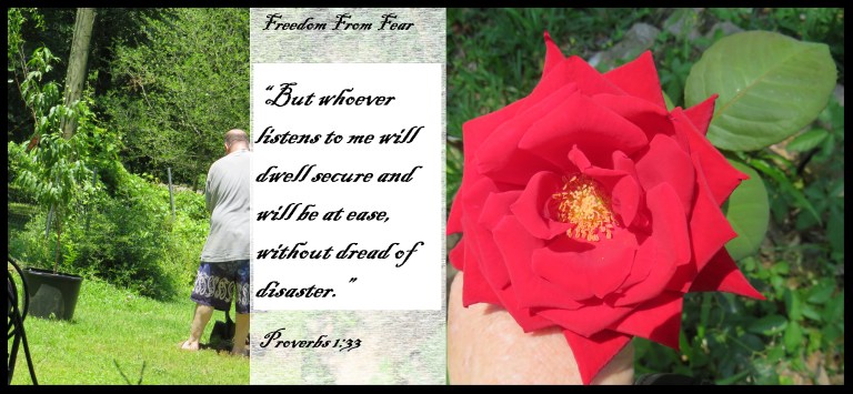 © Photo Artist Susan Ruth Robertson 090025006100 SX540HS 055.JPG