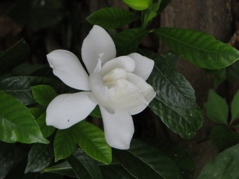 © Photo Artist Susan Ruth Robertson 090025006100 SX540HS 076.JPG