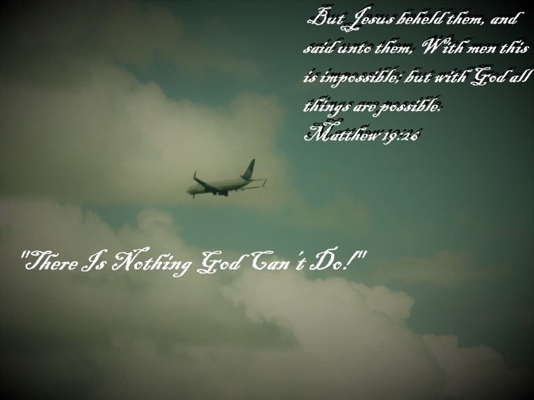 © Photo Artist Susan Ruth Robertson 090025006100 SX540HS 166 - Copy - Copy.JPG