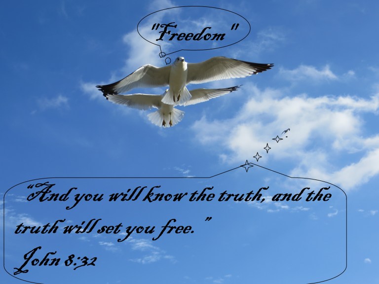 Photo Artist Susan Robertson (105) - Copy.JPG