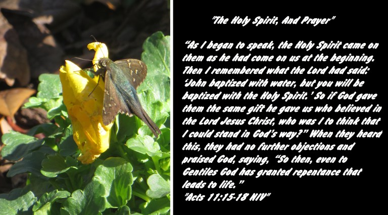 © Photo Artist Susan Ruth Robertson 090025006100 014.JPG