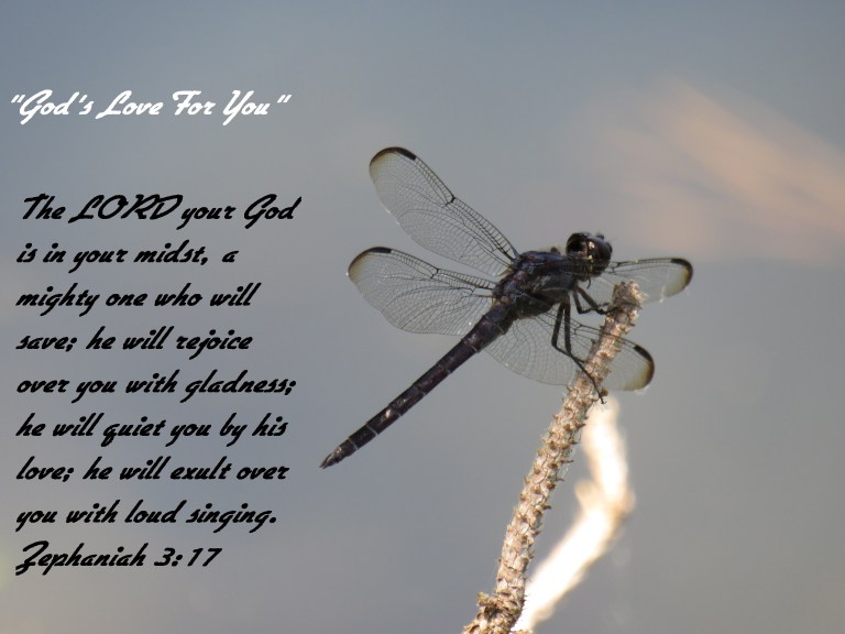 © Photo Artist Susan Ruth Robertson 090025006100 SX 400 IS (23).JPG