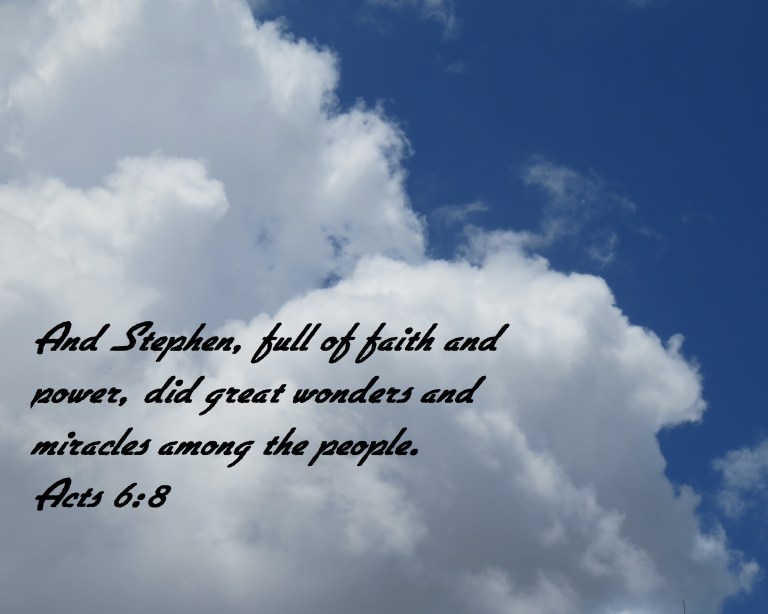 © Photo Artist Susan Ruth Robertson 090025006100 SX 400 IS ( (33) - Copy.JPG