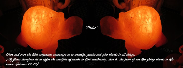 © Photo Artist Susan Ruth Robertson 090025006100 SX 400 IS (98).JPG