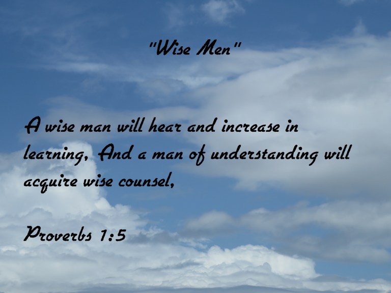 © Photo Artist Susan Ruth Robertson 090025006100 SX 540 HS  (38).JPG