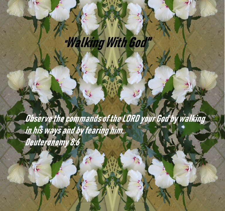 © Photo Artist Susan Ruth Robertson 090025006100 SX 400 IS (11) - Copy.JPG