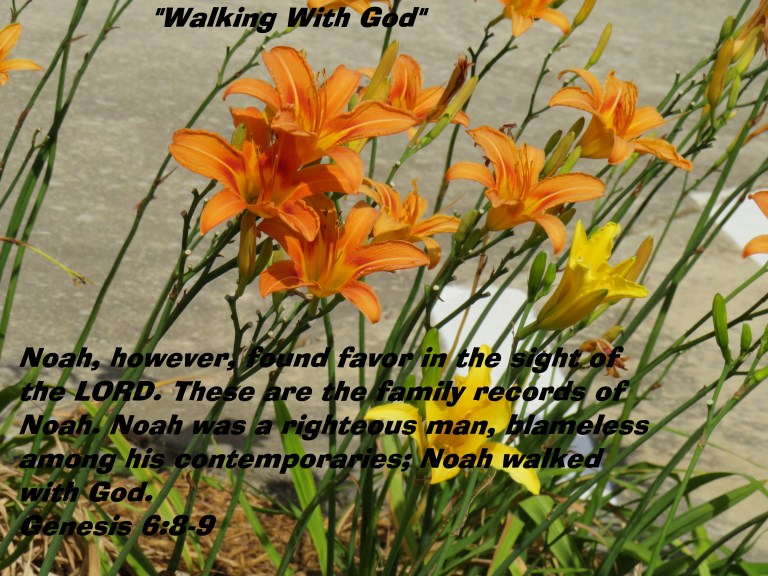 © Photo Artist Susan Ruth Robertson 090025006100 SX 400 IS (98) - Copy.JPG