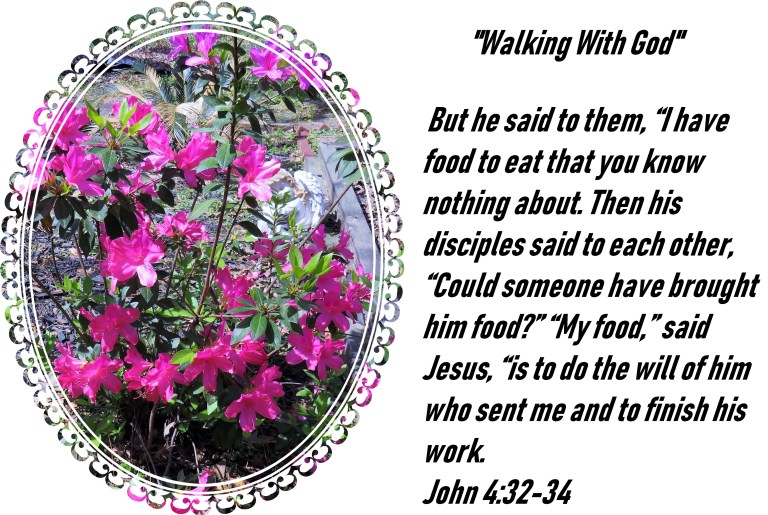 © Photo Artist Susan Ruth Robertson 090025006100 SX 540 HS 078 - Copy.JPG