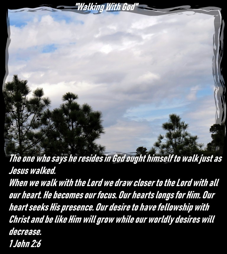 © Photo Artist Susan Ruth Robertson 090025006100 SX 540 HS 089 - Copy.JPG