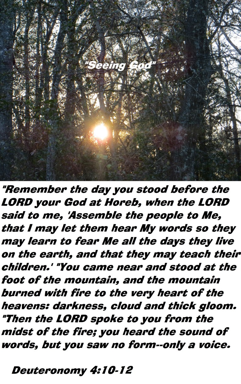 Photo Artist Susan Robertson (10) - Copy.JPG