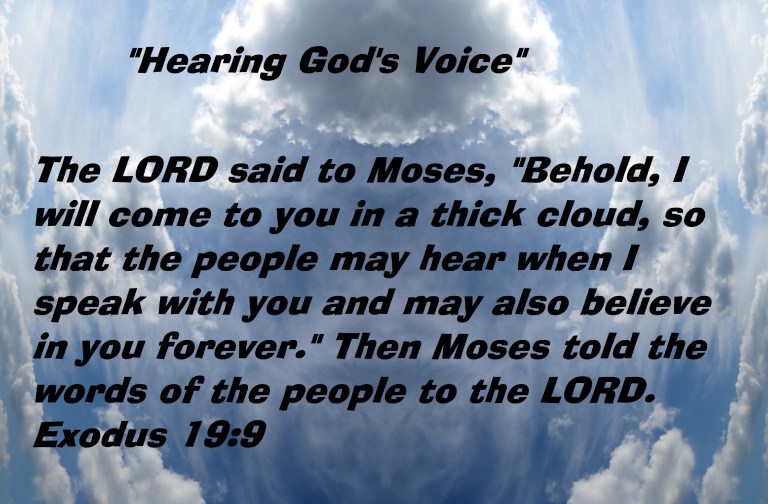 Photo Artist Susan Robertson (3) - Copy.JPG