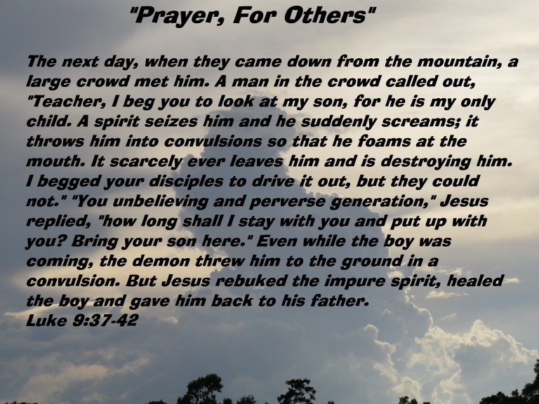 © Photo Artist Susan Ruth Robertson 090025006100 SX 400 IS (90).JPG