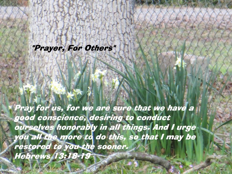 Photo Artist Susan Robertson (1) - Copy.JPG