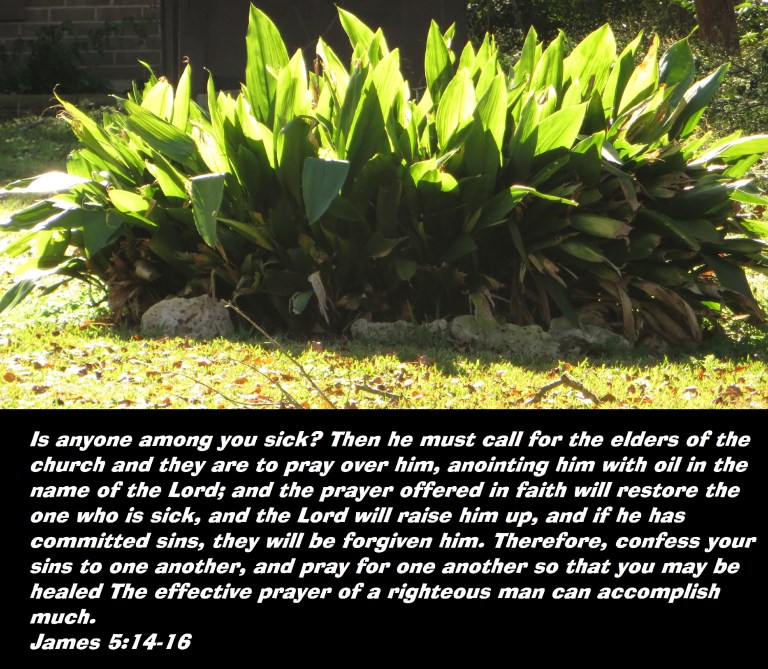 Photo Artist Susan Robertson (1) - Copy.JPG