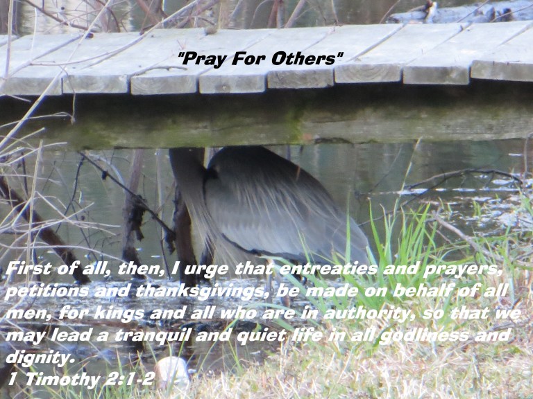 Photo Artist Susan Robertson (11) - Copy.JPG