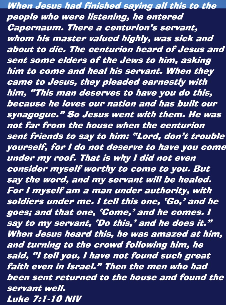 Photo Artist Susan Robertson (8) - Copy - Copy.JPG