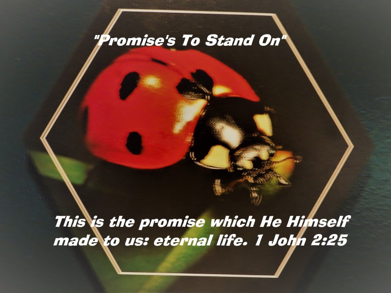 IMG_7957 - Copy - Copy.JPG