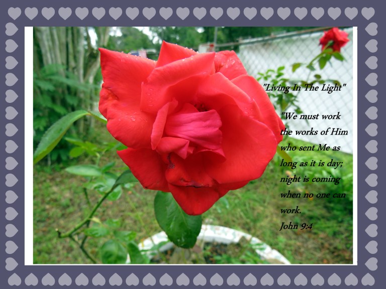 © Photo Artist Susan Ruth Robertson 090025006100  (1) - Copy.JPG