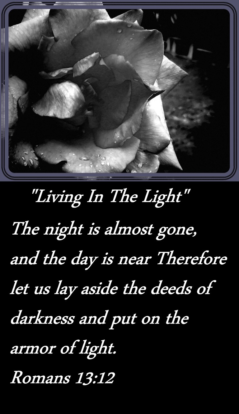 © Photo Artist Susan Ruth Robertson 090025006100  (11) - Copy.JPG