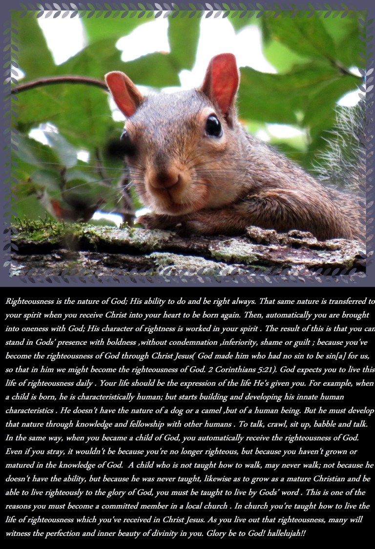 © Photo Artist Susan Ruth Robertson 090025006100 (31) - Copy.JPG