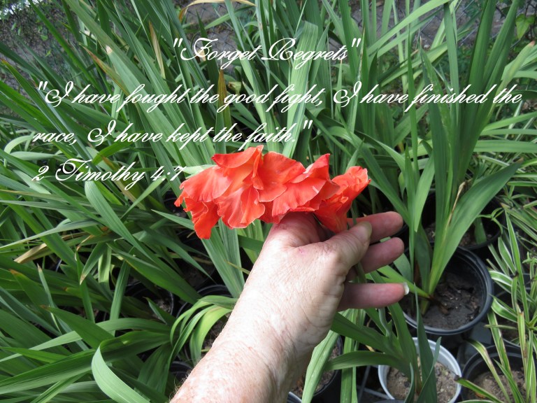 © Photo Artist Susan Ruth Robertson 090025006100 SX 400 IS (5).JPG