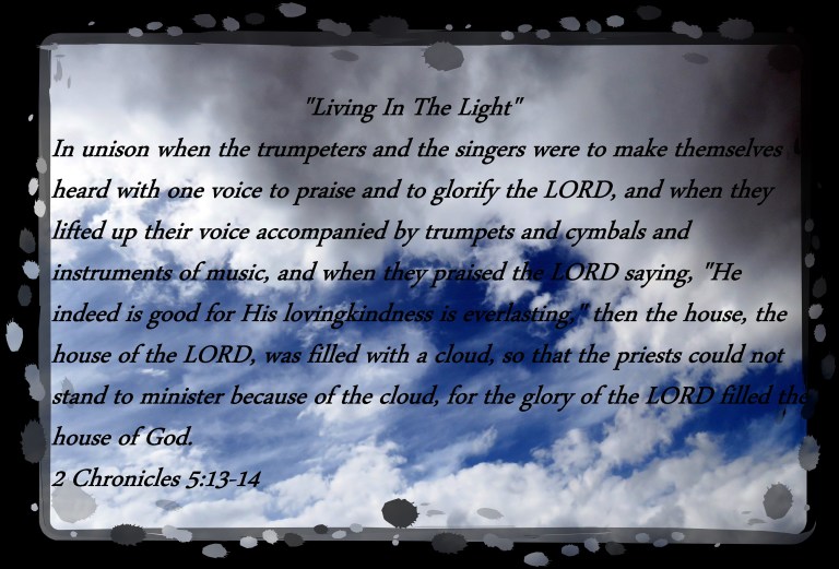 © Photo Artist Susan Ruth Robertson 090025006100 SX 540 HS 088 - Copy.JPG