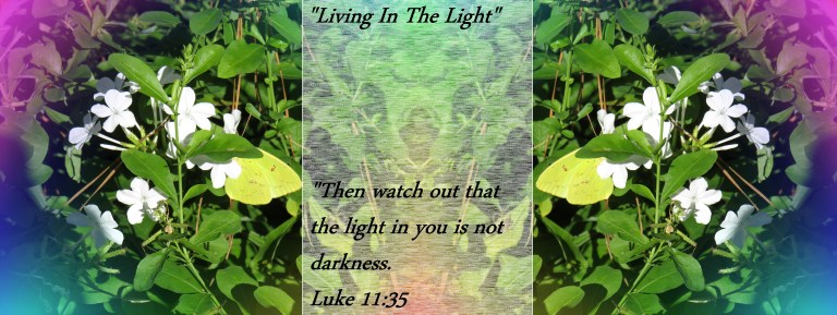 2018-10-28 © Photo Artist Susan Ruth Robertson 090025006100 SX 540HS (12) - Copy.JPG