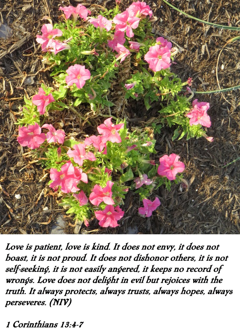 © Photo Artist Susan Ruth Robertson 090025006100 SX 400 IS (2) - Copy.JPG