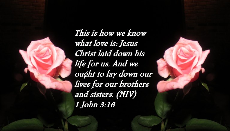 © Photo Artist Susan Ruth Robertson 090025006100 SX 400 IS  (25) - Copy.JPG