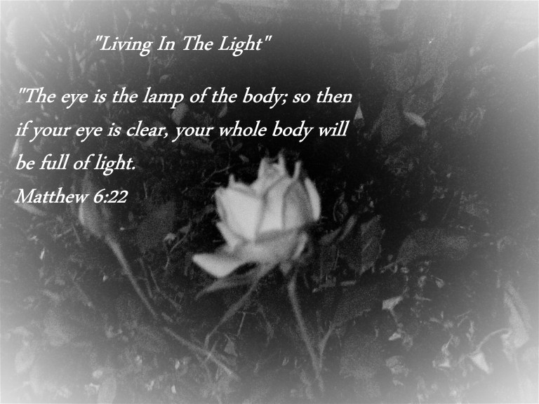 © Photo Artist Susan Ruth Robertson 090025006100 SX 400 IS (31).JPG