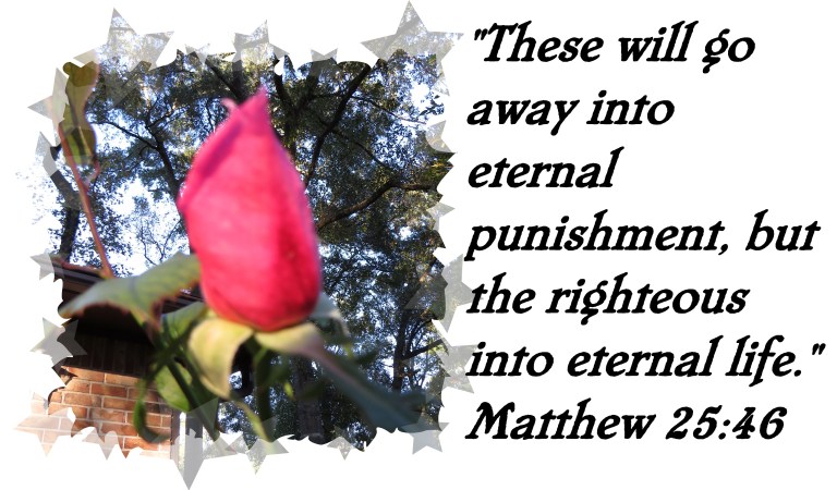 © Photo Artist Susan Ruth Robertson 090025006100 SX 540HS (1) - Copy.JPG